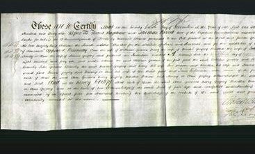 Deed by Married Women - Ann Bromley Greaves, Mary Gregory, Martha Mason and Nanny Ann Gregory-Original Ancestry