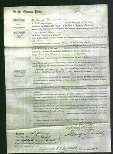 Court of Common Pleas - Ann Taylor-Original Ancestry