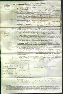 Court of Common Pleas - Elizabeth Dunderdale, Maria Waterhouse, Ellen Smith-Original Ancestry