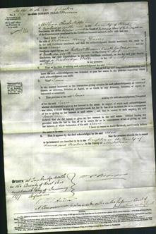 Court of Common Pleas - Jane Davies-Original Ancestry