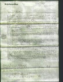 Court of Common Pleas - Caroline Andrews-Original Ancestry
