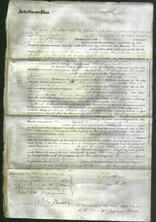 Court of Common Pleas - Emma Margaret Burrow-Original Ancestry