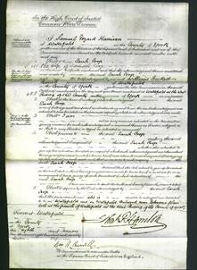 Court of Common Pleas - Sarah Coop-Original Ancestry