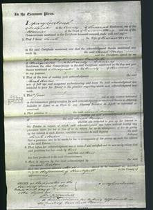 Court of Common Pleas - Sarah Nortin-Original Ancestry