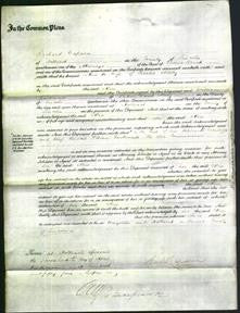 Court of Common Pleas - Alice Dowse Ashby-Original Ancestry