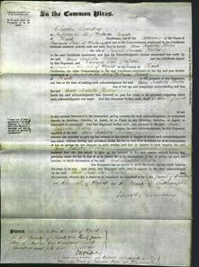 Court of Common Pleas - Ann Isabella Hollis-Original Ancestry