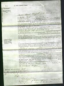 Court of Common Pleas - Sophia Charles-Original Ancestry