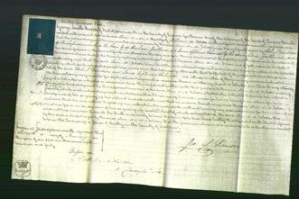 Court of Common Pleas - Ann Nelson-Original Ancestry