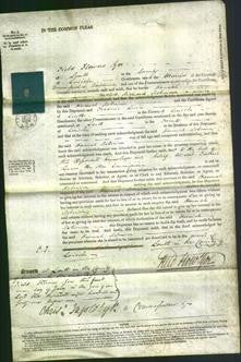 Court of Common Pleas - Hannah Robinson-Original Ancestry