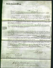 Court of Common Pleas - Sarah Marshall-Original Ancestry