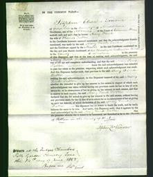 Court of Common Pleas - Mary Finch Fulton-Original Ancestry