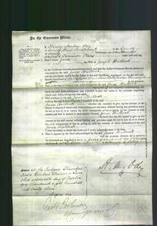Court of Common Pleas - Jane Bullock-Original Ancestry