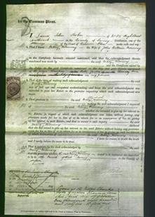 Court of Common Pleas - Mary Elizabeth Monnery