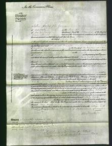 Court of Common Pleas - Jane Varty-Original Ancestry