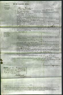 Court of Common Pleas - Emily Robertson-Original Ancestry