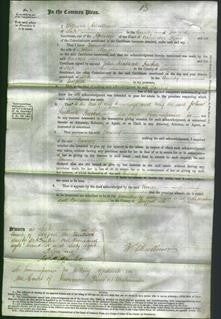 Court of Common Pleas - Fanny Morris-Original Ancestry