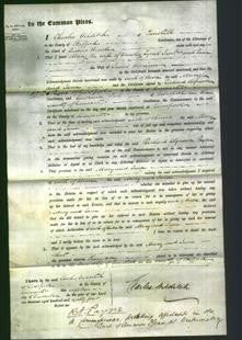 Court of Common Pleas - Mary Jacob and Jane Harrison-Original Ancestry