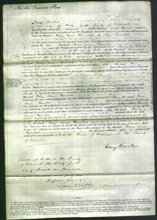 Court of Common Pleas - Mary Anne Reynolds-Original Ancestry