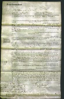 Court of Common Pleas - Elizabeth Whitten-Original Ancestry