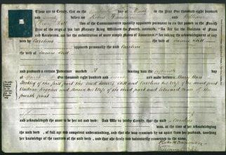 Deed by Married Women - Caroline Still-Original Ancestry