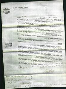 Court of Common Pleas - Jane Blunt-Original Ancestry