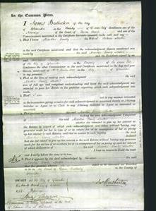 Court of Common Pleas - Martha Emily Mutter-Original Ancestry