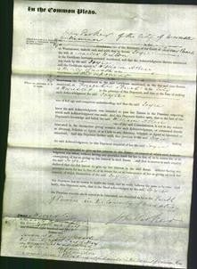 Court of Common Pleas - Joyce Walton-Original Ancestry