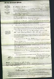 Court of Common Pleas - Mary Catherine Chantler-Original Ancestry