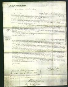 Court of Common Pleas - Maria Harrison and Emma Martin-Original Ancestry