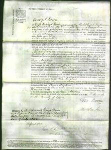 Court of Common Pleas - Eliza Mayhew-Original Ancestry