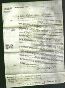 Court of Common Pleas - Henrietta Louisa Wedderburn-Original Ancestry