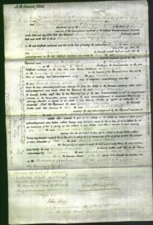 Court of Common Pleas - Sarah Ann Hall-Original Ancestry