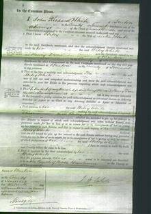 Court of Common Pleas - Betsy White