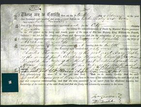 Deed by Married Women - Elizabeth Thorrowgood Reynolds-Original Ancestry