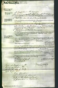 Court of Common Pleas - Jane Becksford-Original Ancestry