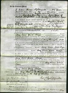 Court of Common Pleas - Mary Ann Grace Mayo-Original Ancestry