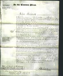 Court of Common Pleas - Elizabeth Ann Rockett-Original Ancestry