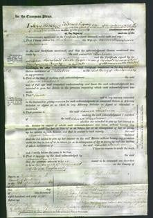 Court of Common Pleas - Laura Paulina Shipman-Original Ancestry