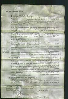 Court of Common Pleas - Jemima Sophia Spokes, Ann Bromwich-Original Ancestry