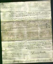 Court of Common Pleas - Mary Bowman-Original Ancestry