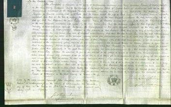 Court of Common Pleas - Maria Lucy-Original Ancestry