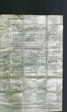 Court of Common Pleas - Ann Perkins-Original Ancestry