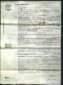 Court of Common Pleas - Margaret Champnes-Original Ancestry