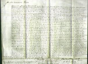 Court of Common Pleas - Mary Elizabeth Vere Booth Powell-Original Ancestry