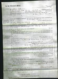 Court of Common Pleas - Betsey Purnell-Original Ancestry