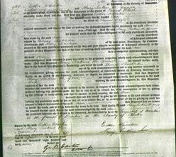 Court of Common Pleas - Ann Doyle-Original Ancestry