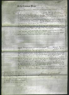 Court of Common Pleas - Martha Harrison Brookman-Original Ancestry