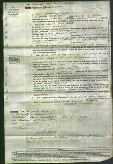 Court of Common Pleas - Jane Sarah Adamson-Original Ancestry