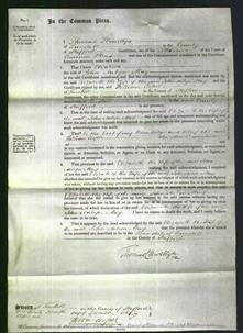 Court of Common Pleas - Elizabeth May-Original Ancestry