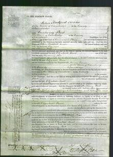 Court of Common Pleas - Elizabeth Read-Original Ancestry